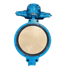 Marine Double Eccentric Butterfly Valve with Double Hydraulic Cylinder (Type 2P) Dalian Standard