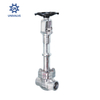 Marine Cryogenic Globe Valve Buttwelded Type LNG SYSTEM